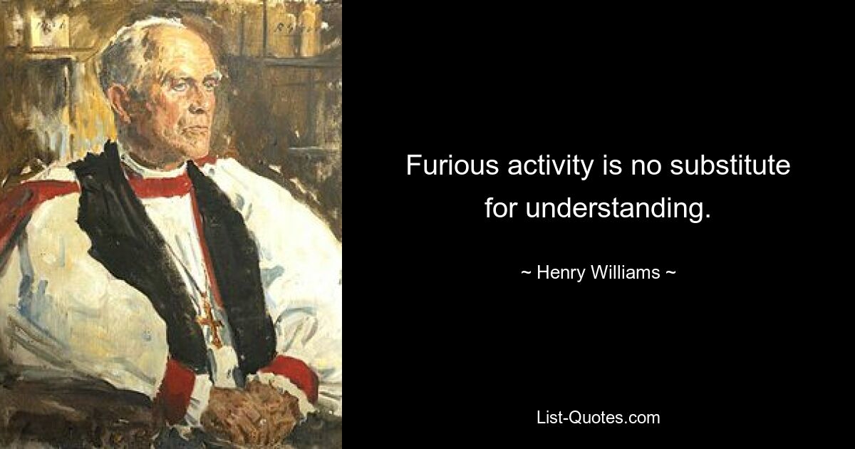 Furious activity is no substitute for understanding. — © Henry Williams