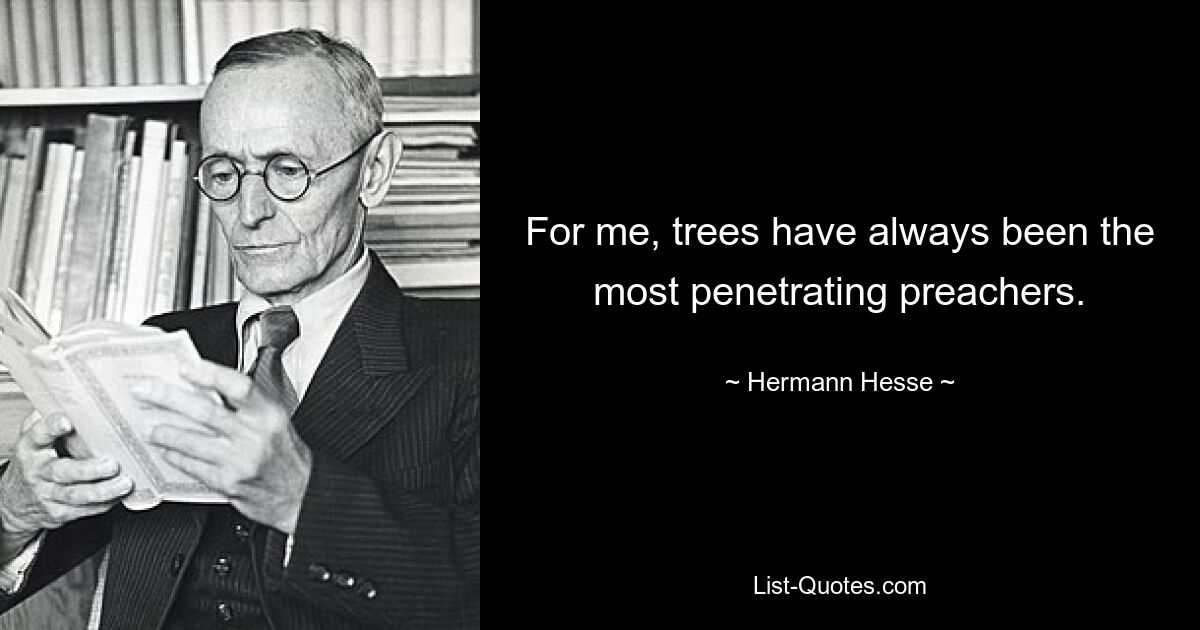 For me, trees have always been the most penetrating preachers. — © Hermann Hesse