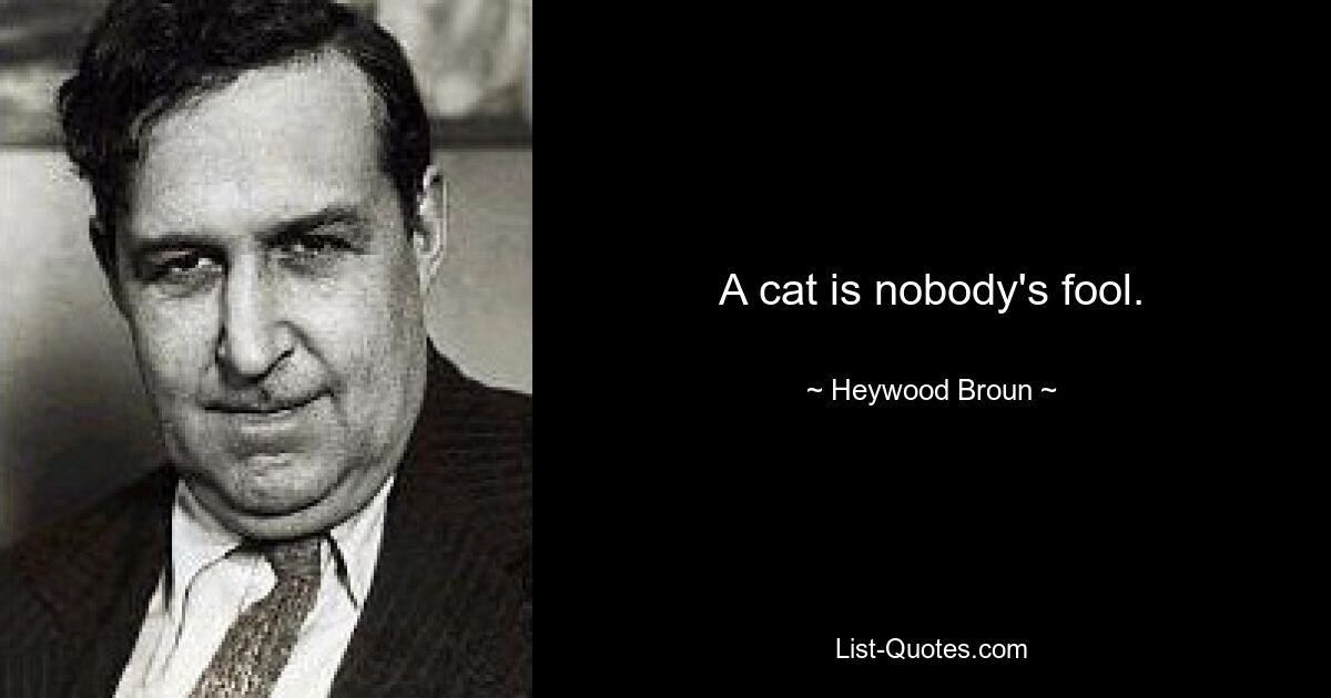 A cat is nobody's fool. — © Heywood Broun