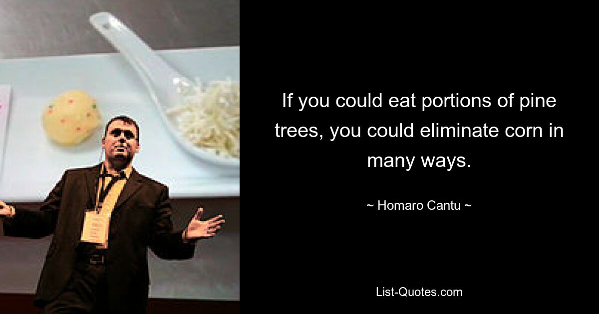 If you could eat portions of pine trees, you could eliminate corn in many ways. — © Homaro Cantu