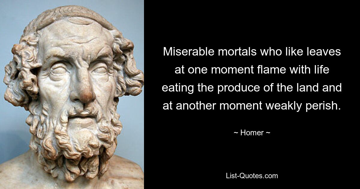 Miserable mortals who like leaves at one moment flame with life eating the produce of the land and at another moment weakly perish. — © Homer