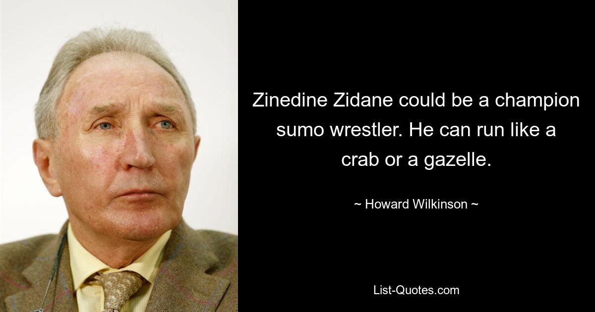 Zinedine Zidane could be a champion sumo wrestler. He can run like a crab or a gazelle. — © Howard Wilkinson