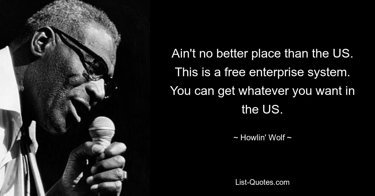 Ain't no better place than the US. This is a free enterprise system. You can get whatever you want in the US. — © Howlin' Wolf