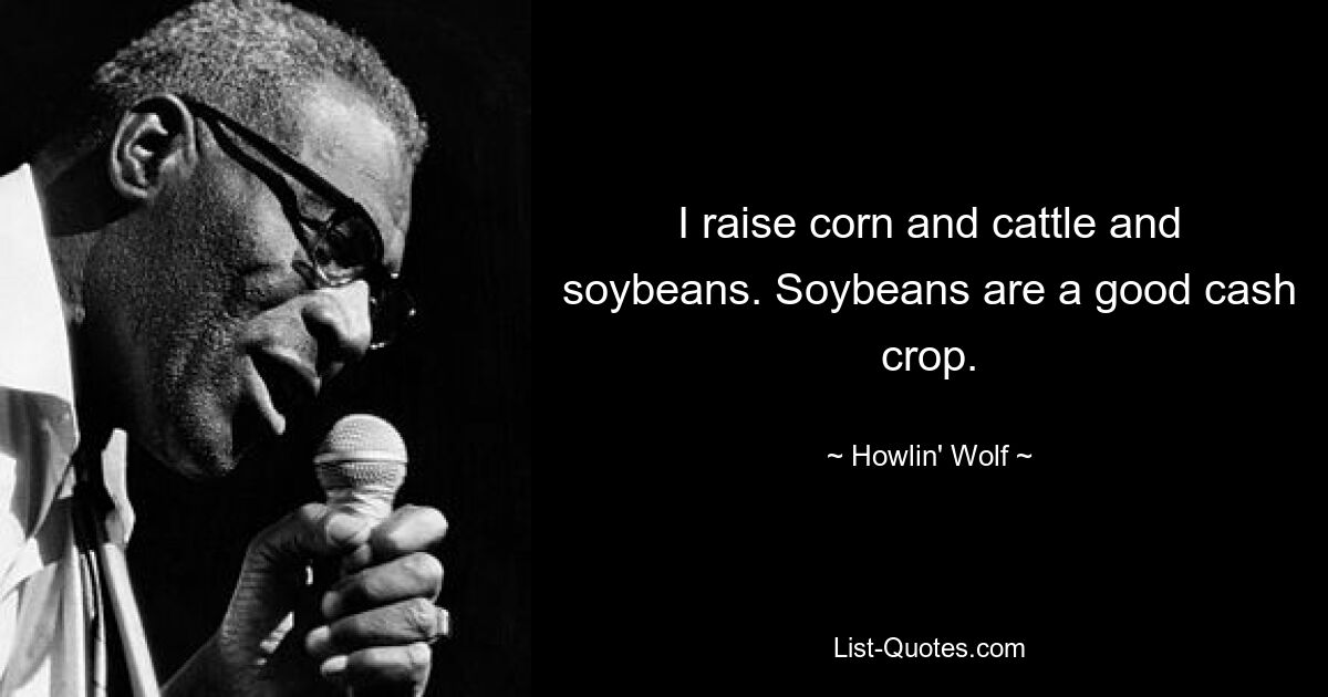 I raise corn and cattle and soybeans. Soybeans are a good cash crop. — © Howlin' Wolf