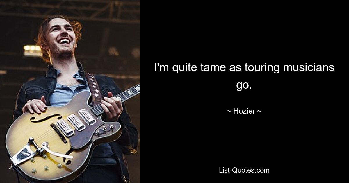 I'm quite tame as touring musicians go. — © Hozier