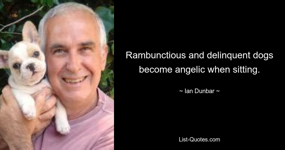 Rambunctious and delinquent dogs become angelic when sitting. — © Ian Dunbar