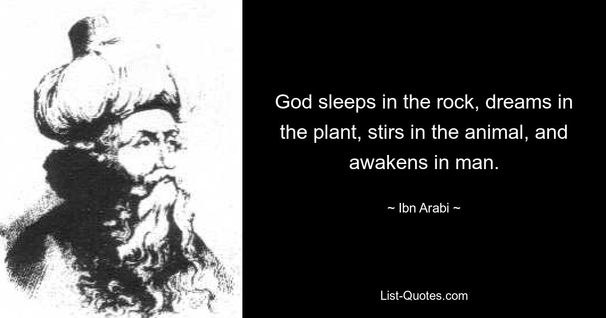 God sleeps in the rock, dreams in the plant, stirs in the animal, and awakens in man. — © Ibn Arabi