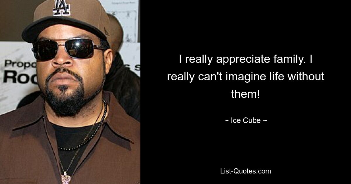 I really appreciate family. I really can't imagine life without them! — © Ice Cube