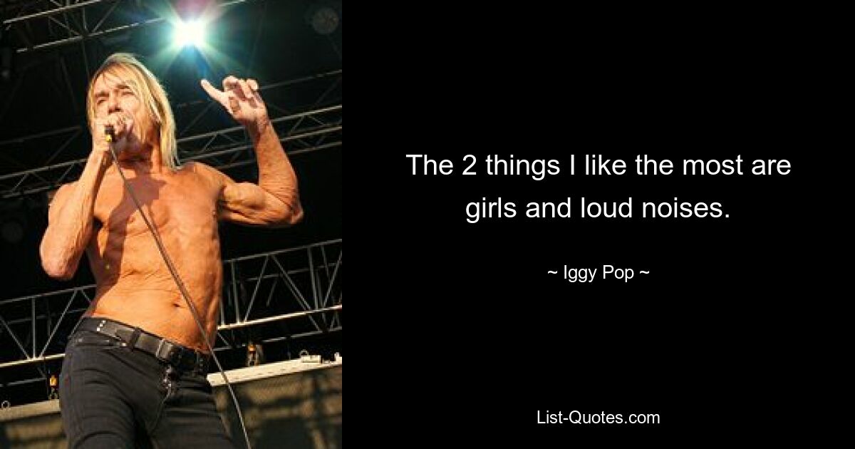 The 2 things I like the most are girls and loud noises. — © Iggy Pop