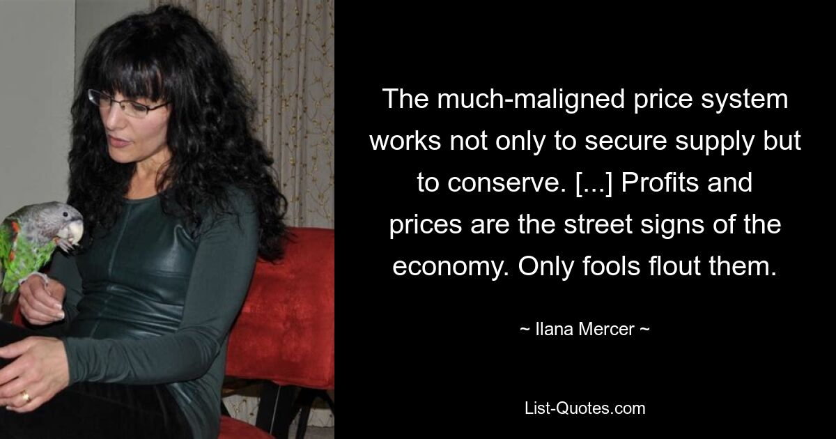 The much-maligned price system works not only to secure supply but to conserve. [...] Profits and prices are the street signs of the economy. Only fools flout them. — © Ilana Mercer