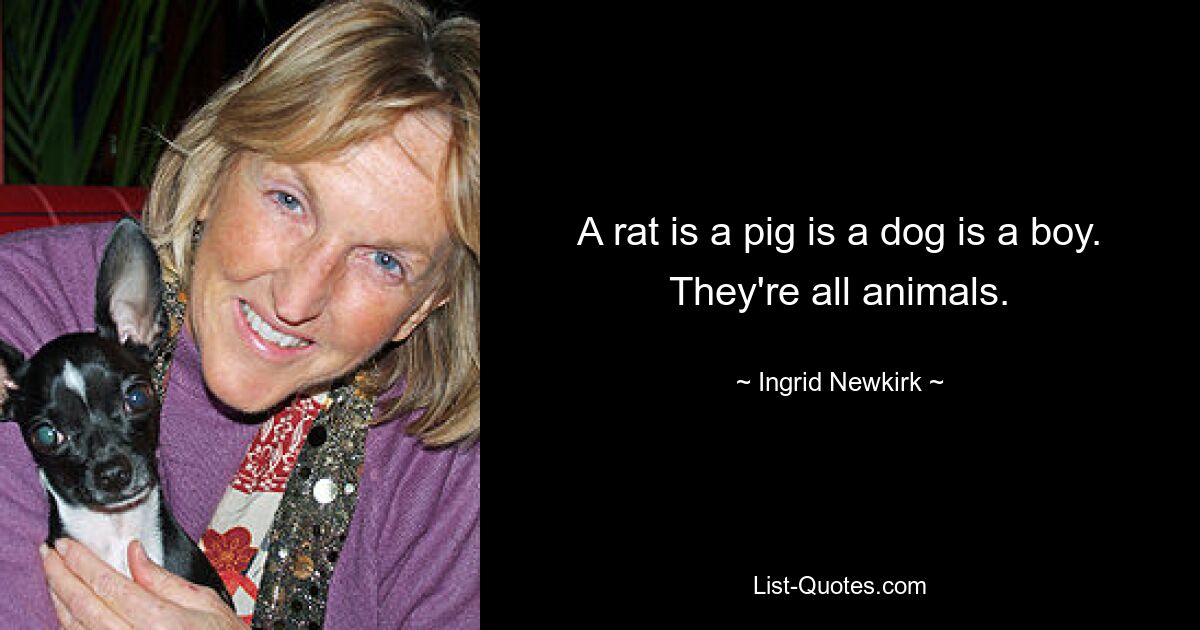 A rat is a pig is a dog is a boy. They're all animals. — © Ingrid Newkirk