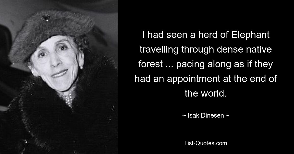 I had seen a herd of Elephant travelling through dense native forest ... pacing along as if they had an appointment at the end of the world. — © Isak Dinesen