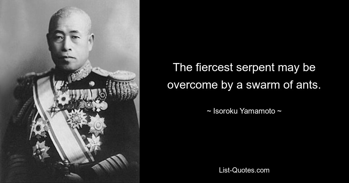 The fiercest serpent may be overcome by a swarm of ants. — © Isoroku Yamamoto