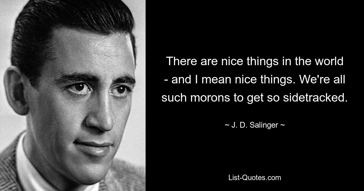 There are nice things in the world - and I mean nice things. We're all such morons to get so sidetracked. — © J. D. Salinger