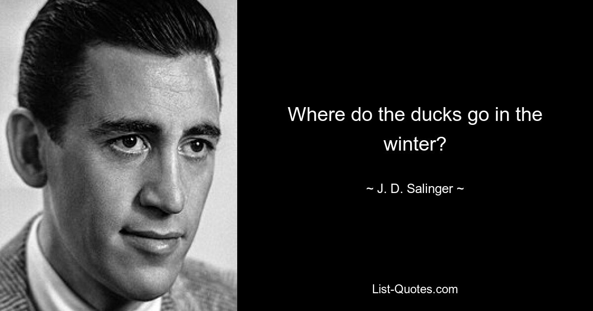 Where do the ducks go in the winter? — © J. D. Salinger