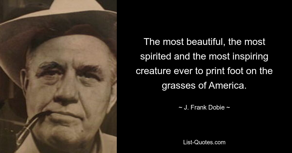 The most beautiful, the most spirited and the most inspiring creature ever to print foot on the grasses of America. — © J. Frank Dobie