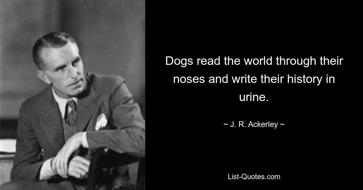 Dogs read the world through their noses and write their history in urine. — © J. R. Ackerley