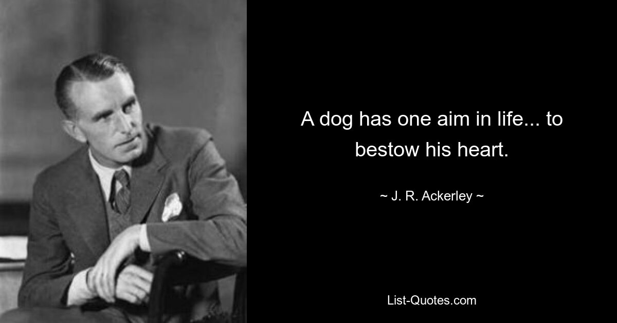 A dog has one aim in life... to bestow his heart. — © J. R. Ackerley