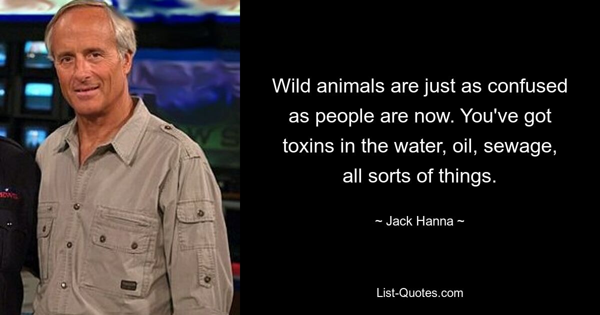 Wild animals are just as confused as people are now. You've got toxins in the water, oil, sewage, all sorts of things. — © Jack Hanna