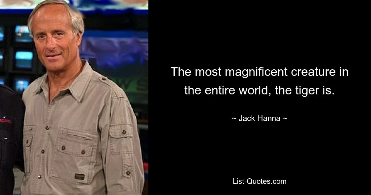 The most magnificent creature in the entire world, the tiger is. — © Jack Hanna