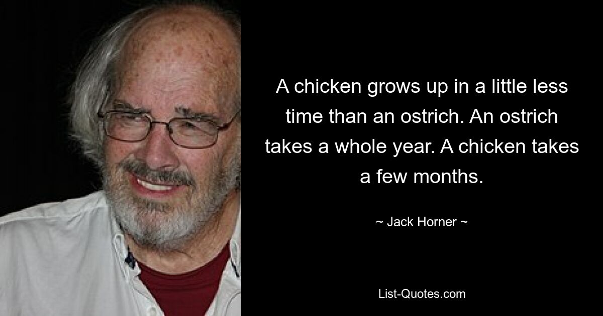 A chicken grows up in a little less time than an ostrich. An ostrich takes a whole year. A chicken takes a few months. — © Jack Horner