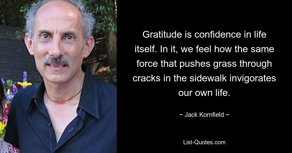 Gratitude is confidence in life itself. In it, we feel how the same force that pushes grass through cracks in the sidewalk invigorates our own life. — © Jack Kornfield