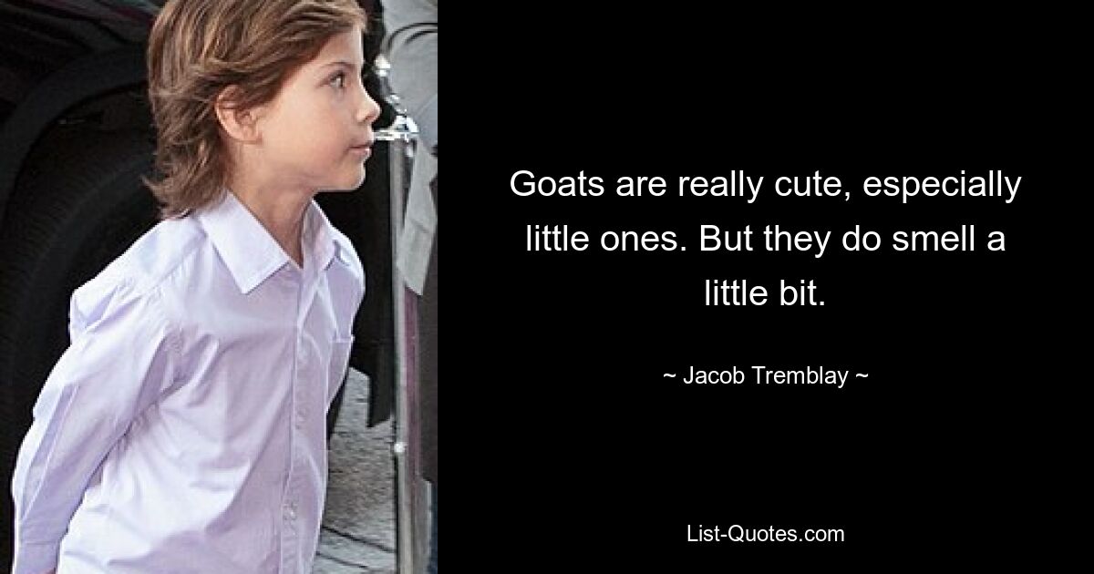 Goats are really cute, especially little ones. But they do smell a little bit. — © Jacob Tremblay