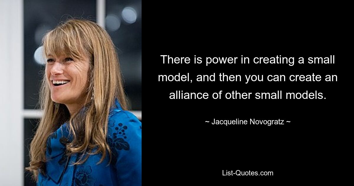 There is power in creating a small model, and then you can create an alliance of other small models. — © Jacqueline Novogratz