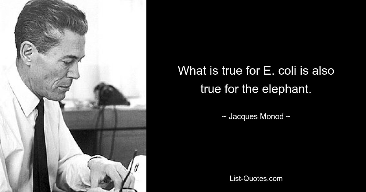 What is true for E. coli is also true for the elephant. — © Jacques Monod