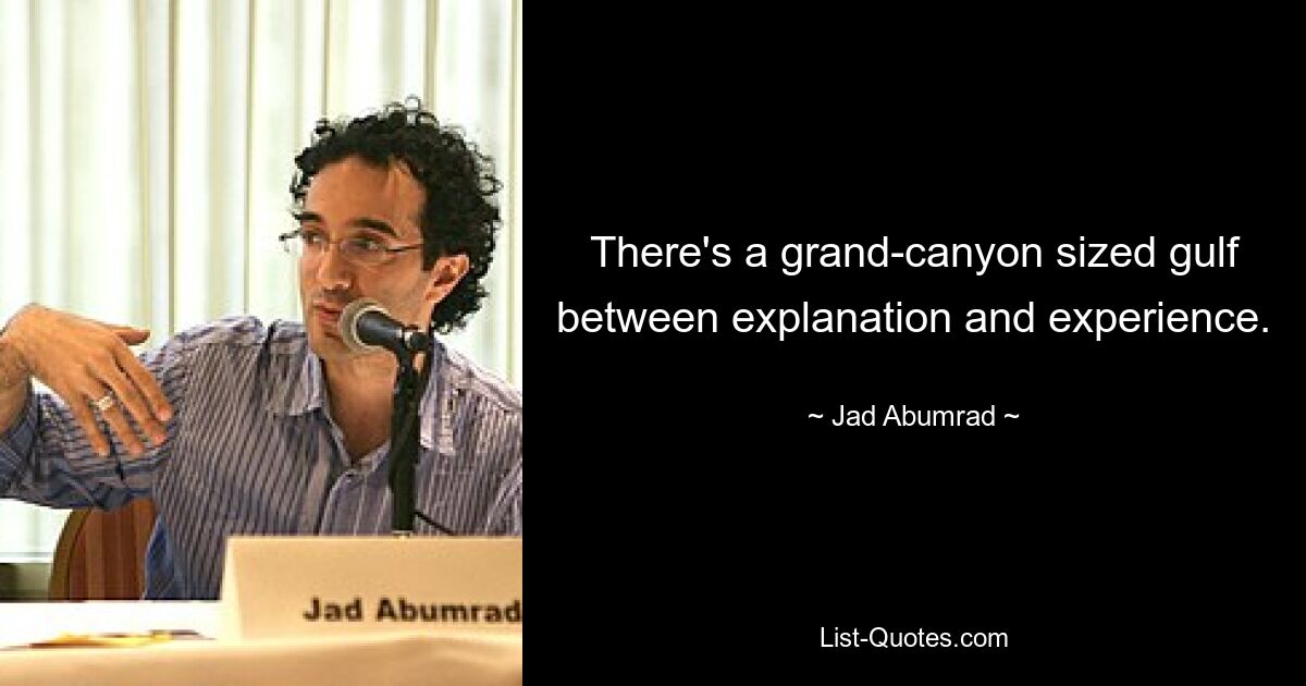 There's a grand-canyon sized gulf between explanation and experience. — © Jad Abumrad