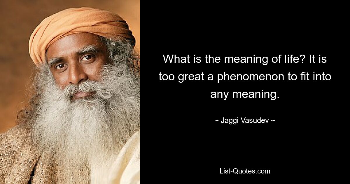 What is the meaning of life? It is too great a phenomenon to fit into any meaning. — © Jaggi Vasudev