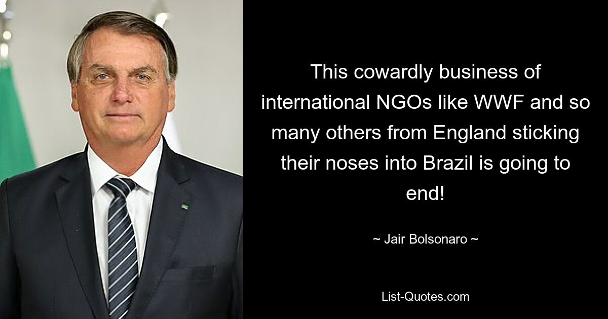 This cowardly business of international NGOs like WWF and so many others from England sticking their noses into Brazil is going to end! — © Jair Bolsonaro