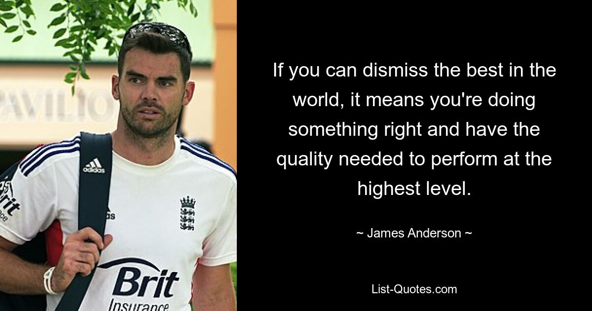 If you can dismiss the best in the world, it means you're doing something right and have the quality needed to perform at the highest level. — © James Anderson