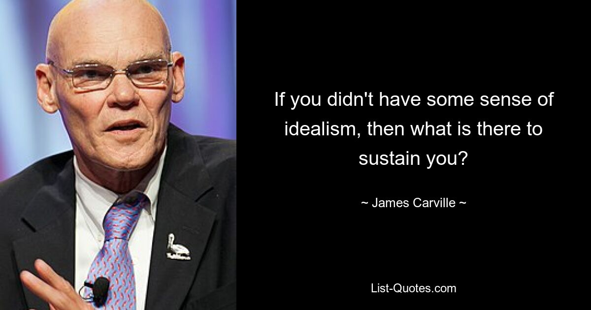 If you didn't have some sense of idealism, then what is there to sustain you? — © James Carville