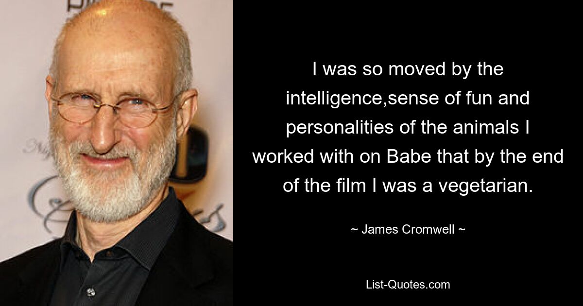 I was so moved by the intelligence,sense of fun and personalities of the animals I worked with on Babe that by the end of the film I was a vegetarian. — © James Cromwell