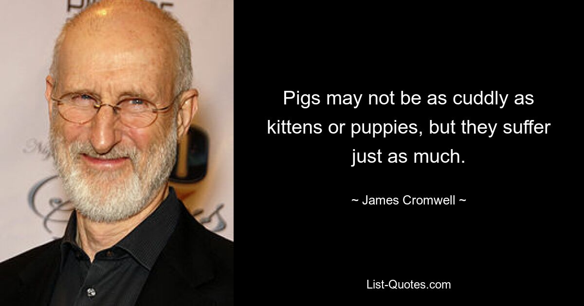 Pigs may not be as cuddly as kittens or puppies, but they suffer just as much. — © James Cromwell