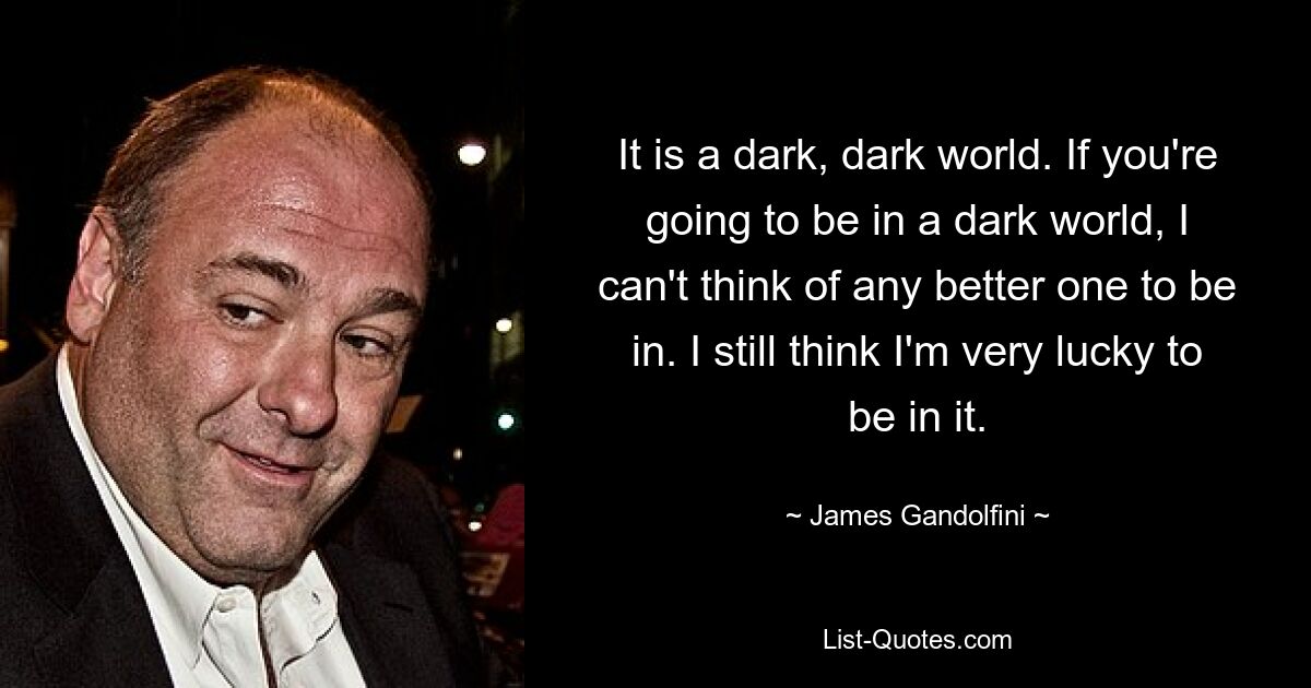 It is a dark, dark world. If you're going to be in a dark world, I can't think of any better one to be in. I still think I'm very lucky to be in it. — © James Gandolfini