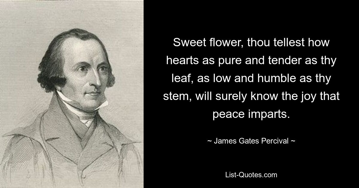 Sweet flower, thou tellest how hearts as pure and tender as thy leaf, as low and humble as thy stem, will surely know the joy that peace imparts. — © James Gates Percival