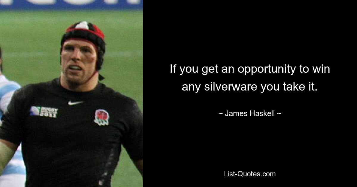 If you get an opportunity to win any silverware you take it. — © James Haskell