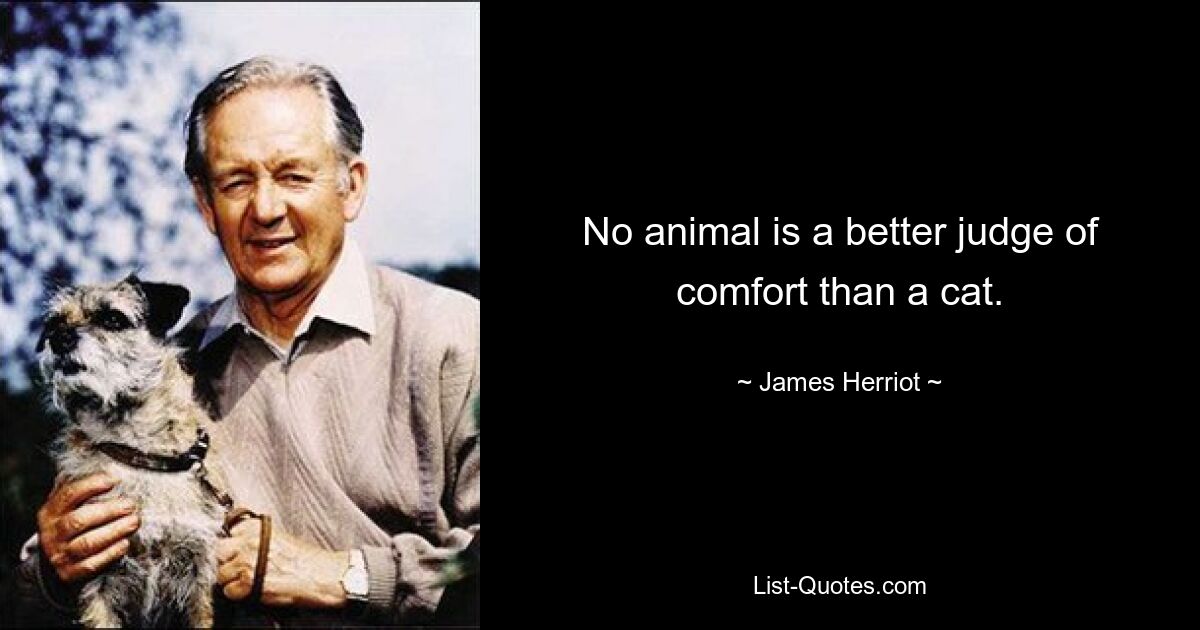 No animal is a better judge of comfort than a cat. — © James Herriot