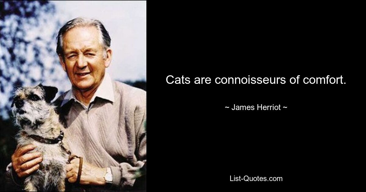 Cats are connoisseurs of comfort. — © James Herriot