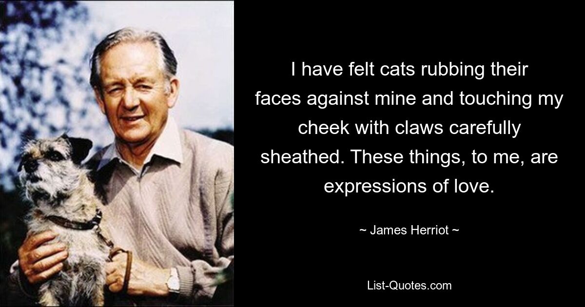 I have felt cats rubbing their faces against mine and touching my cheek with claws carefully sheathed. These things, to me, are expressions of love. — © James Herriot