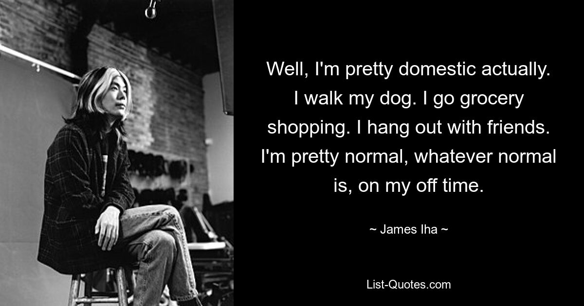 Well, I'm pretty domestic actually. I walk my dog. I go grocery shopping. I hang out with friends. I'm pretty normal, whatever normal is, on my off time. — © James Iha