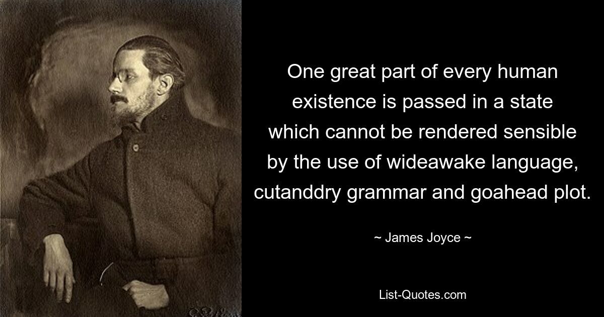 One great part of every human existence is passed in a state which cannot be rendered sensible by the use of wideawake language, cutanddry grammar and goahead plot. — © James Joyce