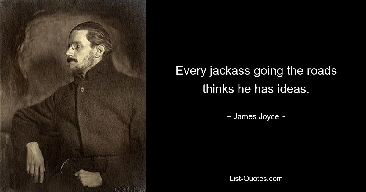 Every jackass going the roads thinks he has ideas. — © James Joyce