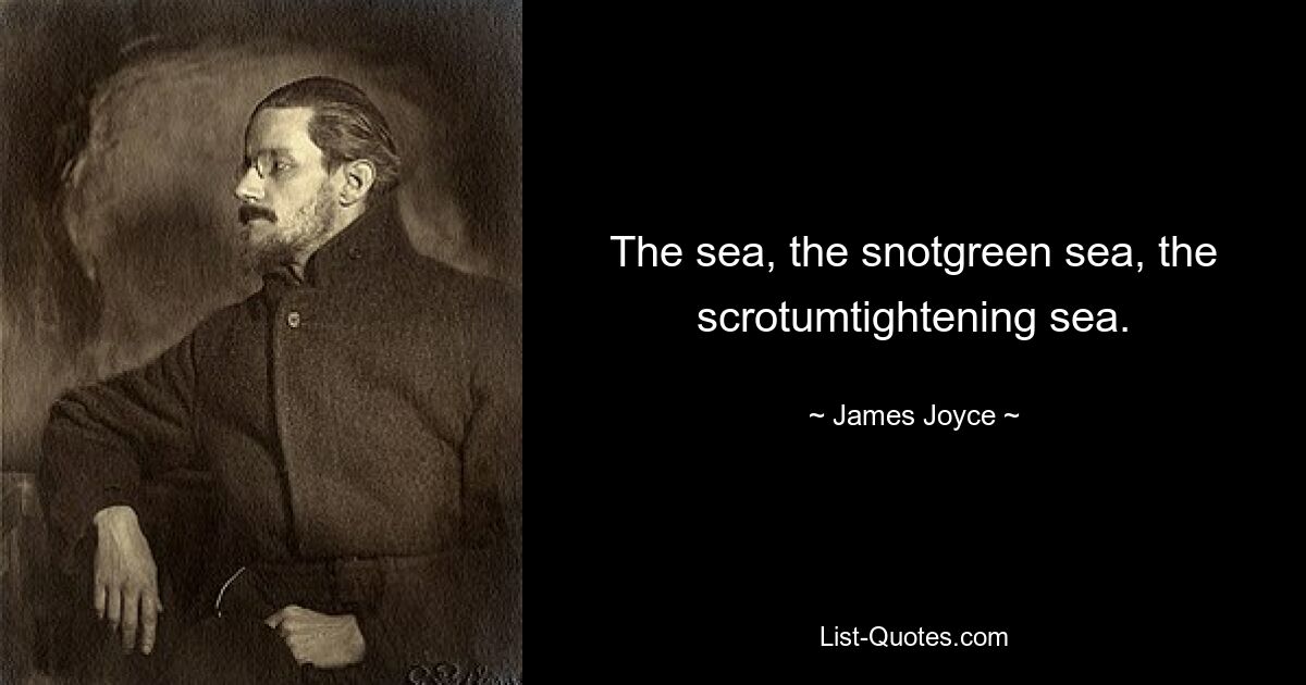 The sea, the snotgreen sea, the scrotumtightening sea. — © James Joyce