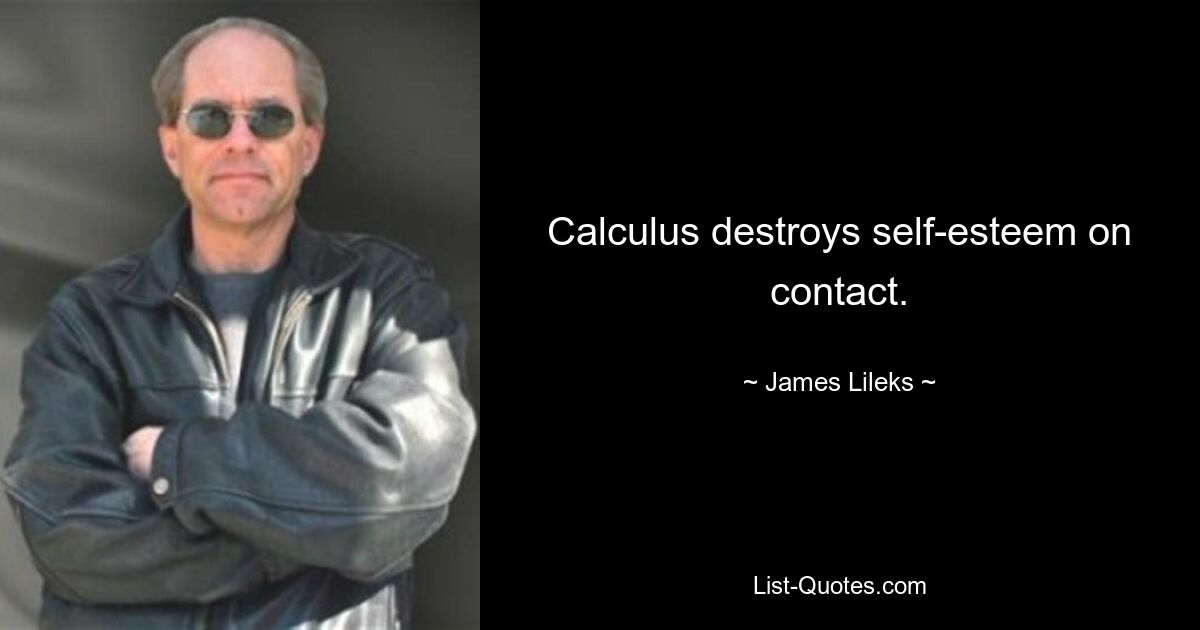 Calculus destroys self-esteem on contact. — © James Lileks