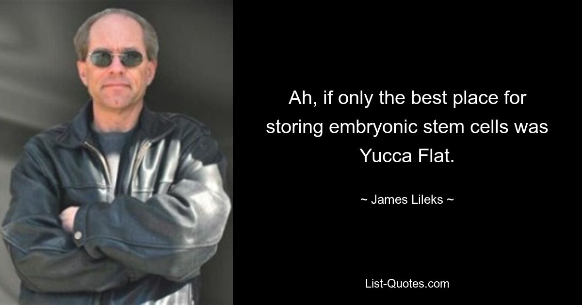 Ah, if only the best place for storing embryonic stem cells was Yucca Flat. — © James Lileks