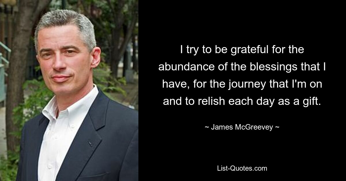 I try to be grateful for the abundance of the blessings that I have, for the journey that I'm on and to relish each day as a gift. — © James McGreevey