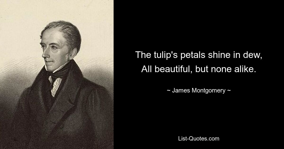 The tulip's petals shine in dew, All beautiful, but none alike. — © James Montgomery